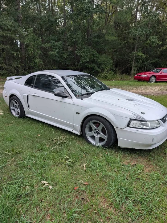 2003 Ford SN95 Mustang - Image 3 of 9