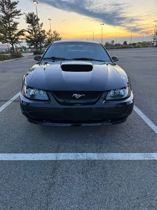 2003 Ford SN95 Mustang - Image 2 of 7