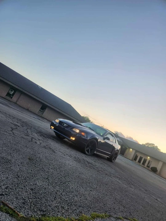 2003 Ford SN95 Mustang - Image 2 of 6