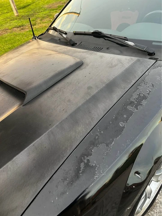 2003 Ford SN95 Mustang - Image 2 of 14