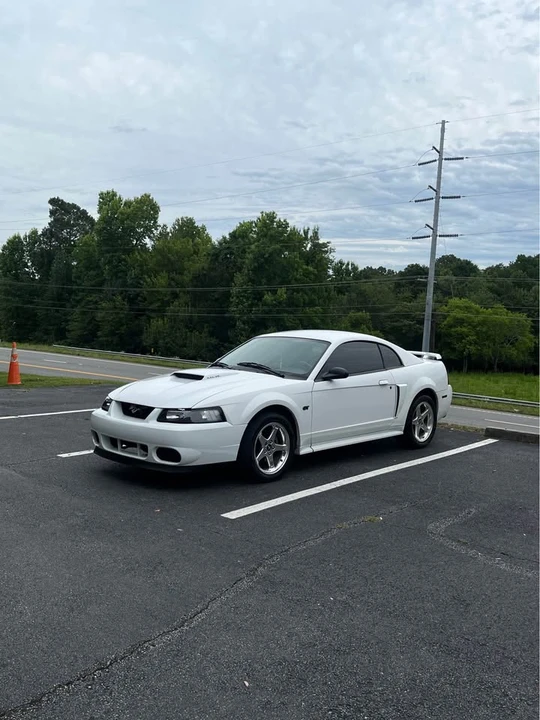 2003 Ford SN95 Mustang - Image 3 of 7