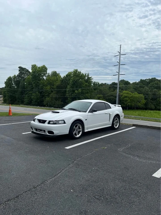 2003 Ford SN95 Mustang - Image 4 of 7