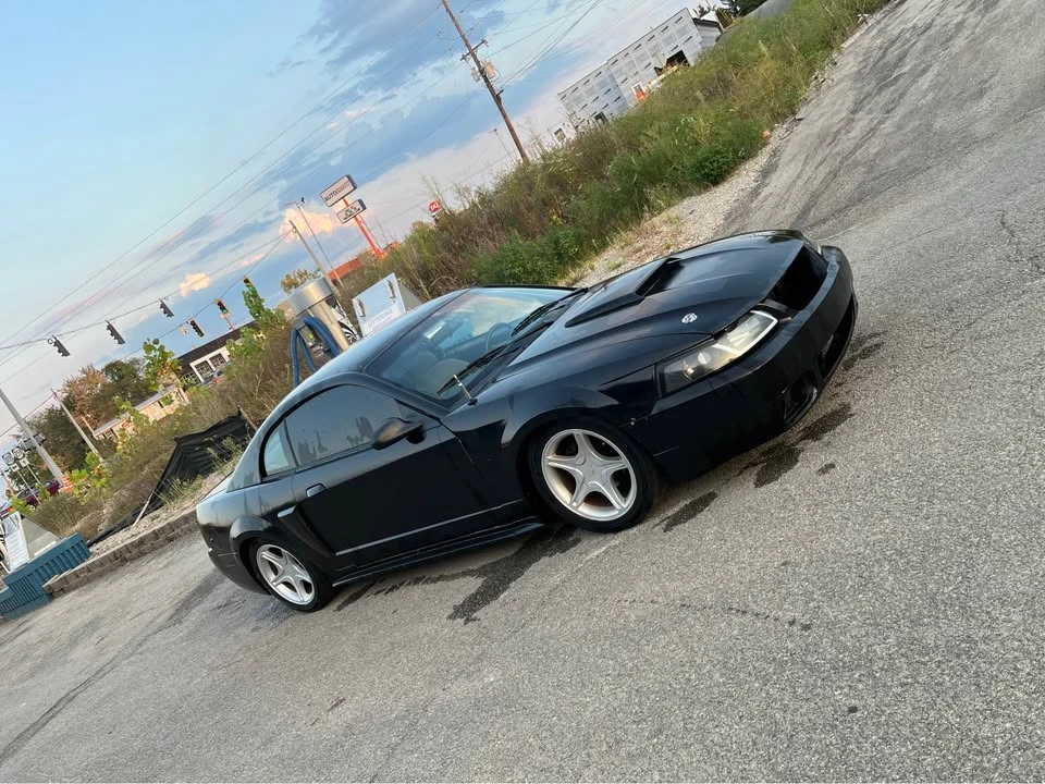 2003 Ford SN95 Mustang - Image 2 of 6