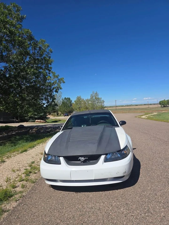 2003 Ford SN95 Mustang - Image 12 of 12
