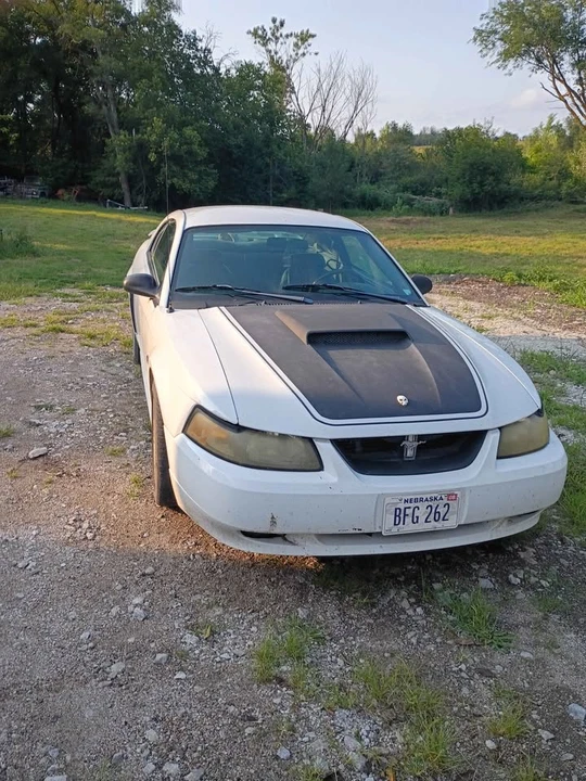 2003 Ford SN95 Mustang - Image 3 of 6