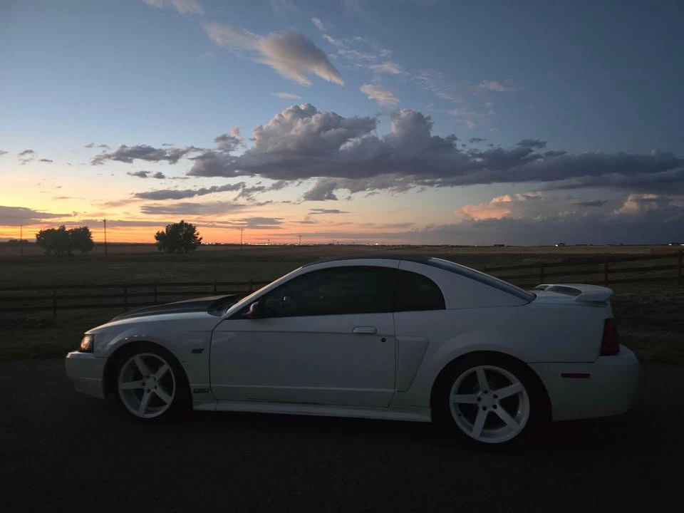 2003 Ford SN95 Mustang - Image 6 of 12