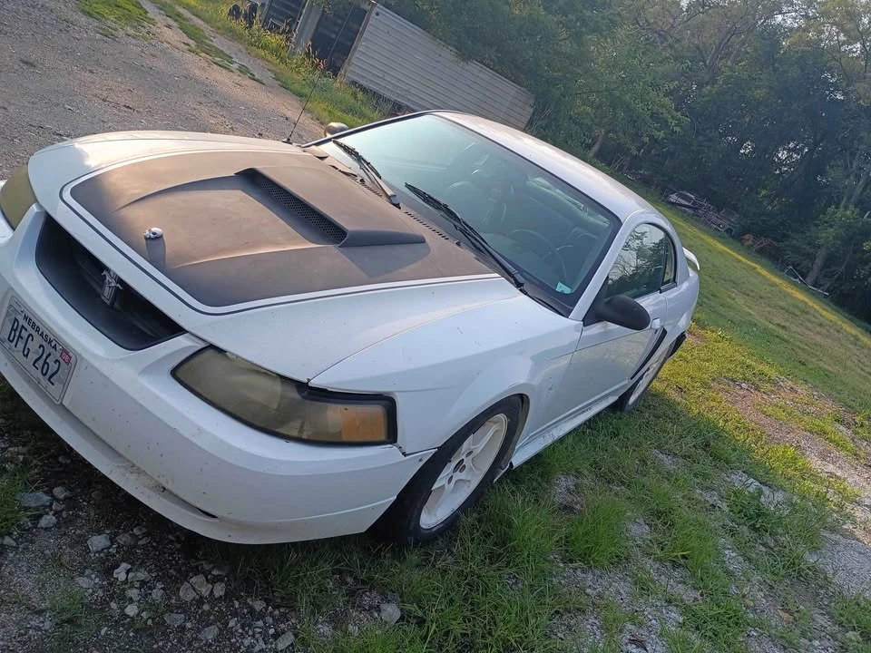 2003 Ford SN95 Mustang - Image 5 of 6