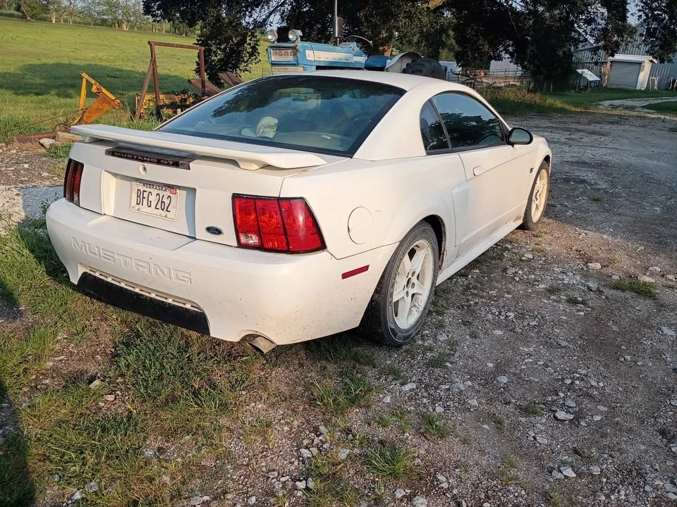 2003 Ford SN95 Mustang - Image 6 of 6
