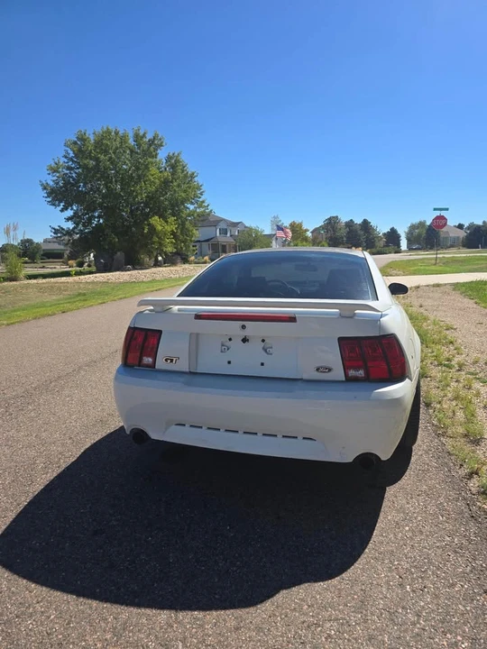 2003 Ford SN95 Mustang - Image 11 of 12