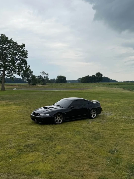 2003 Ford SN95 Mustang - Image 2 of 10