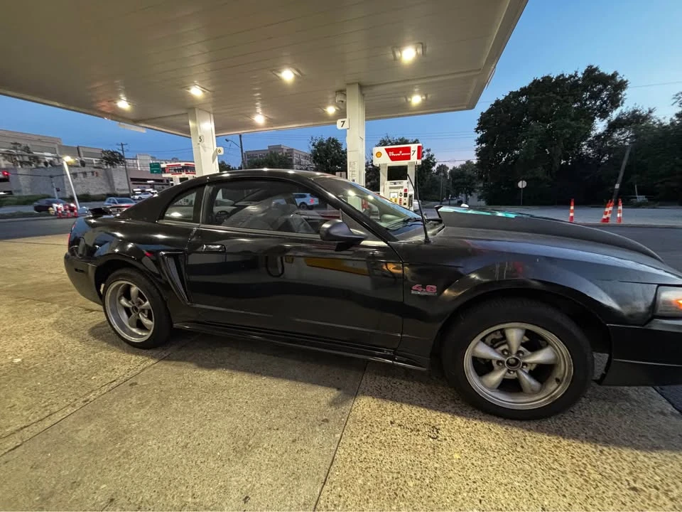 2003 Ford SN95 Mustang - Image 4 of 5