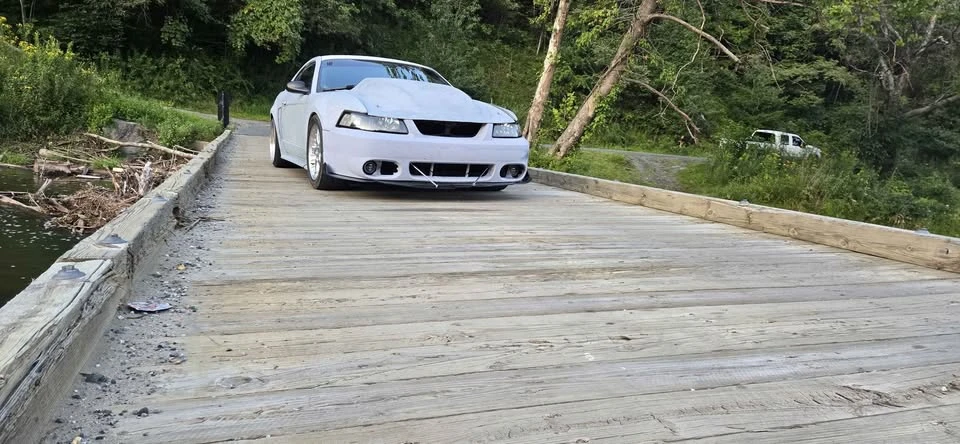 2003 Ford SN95 Mustang - Image 3 of 6