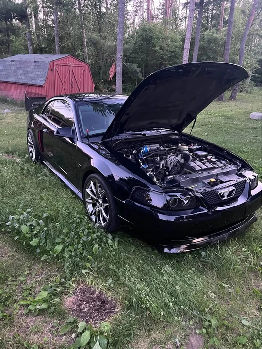 2003 Ford SN95 Mustang - Image 2 of 7