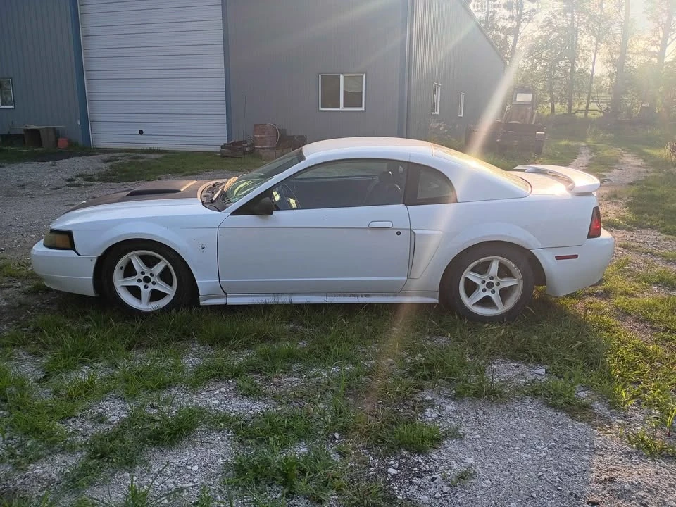 2003 Ford SN95 Mustang - Image 2 of 6