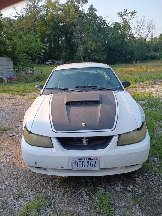 2003 Ford SN95 Mustang - Image 4 of 6