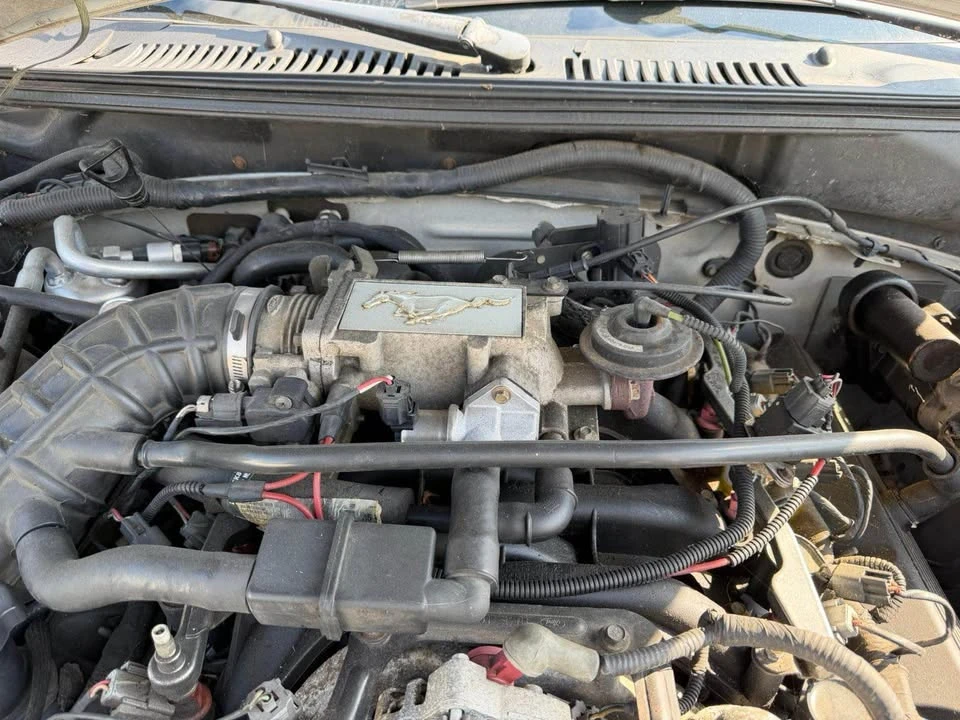 2003 Ford SN95 Mustang - Image 11 of 13