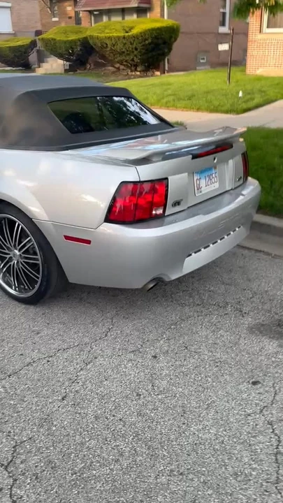 2003 Ford SN95 Mustang - Image 8 of 8