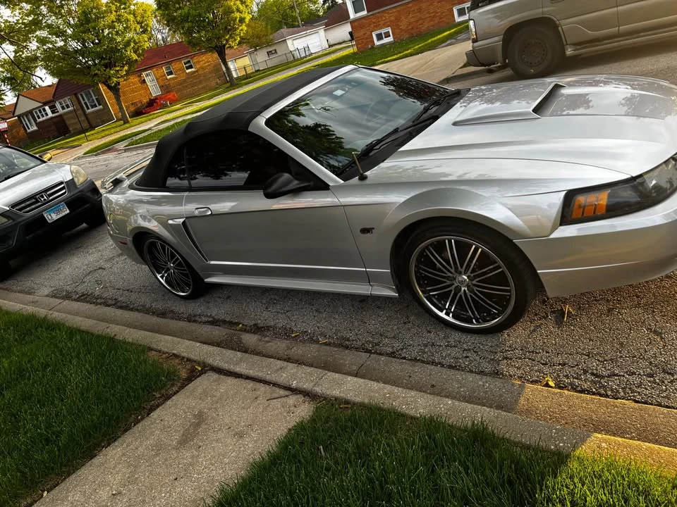 2003 Ford SN95 Mustang - Image 6 of 8