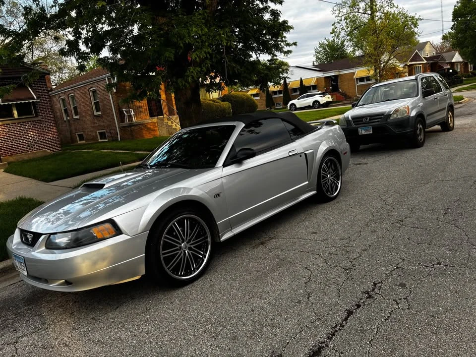 2003 Ford SN95 Mustang - Image 7 of 8