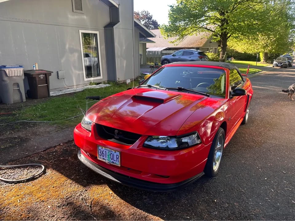2003 Ford SN95 Mustang - Image 6 of 20