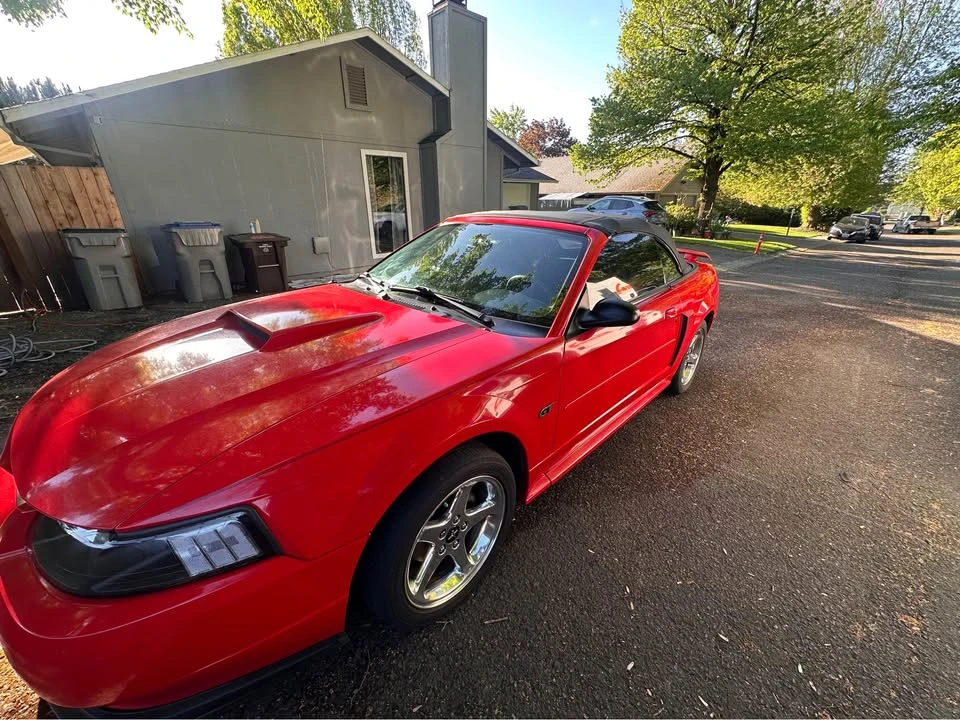 2003 Ford SN95 Mustang - Image 5 of 20