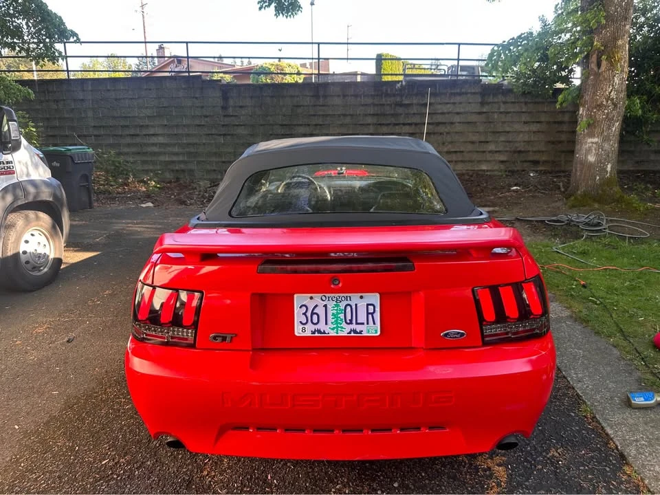 2003 Ford SN95 Mustang - Image 4 of 20