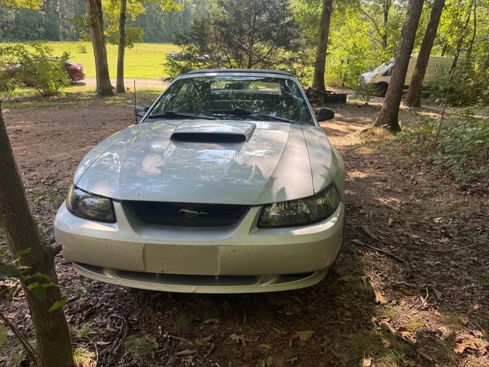 2003 Ford SN95 Mustang - Image 3 of 9