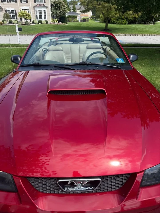 2003 Ford SN95 Mustang - Image 4 of 8