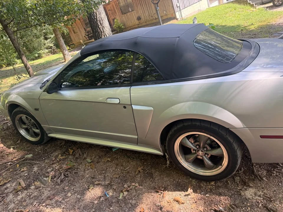 2003 Ford SN95 Mustang - Image 2 of 9