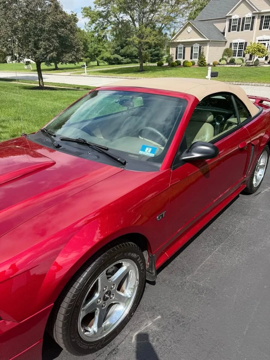 2003 Ford SN95 Mustang - Image 2 of 8