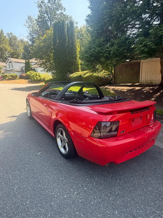 2003 Ford SN95 Mustang - Image 9 of 10