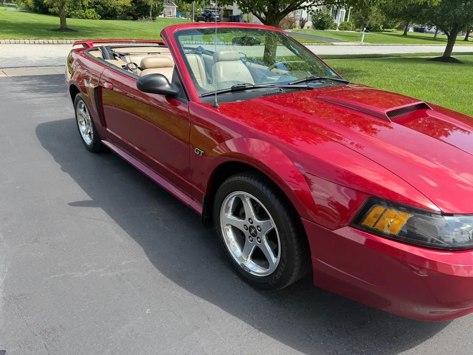 2003 Ford SN95 Mustang - Image 3 of 8
