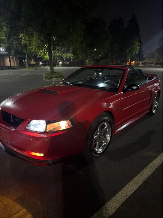 2003 Ford SN95 Mustang - Image 5 of 10