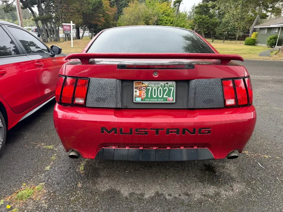 2003 Ford SN95 Mustang - Image 3 of 8