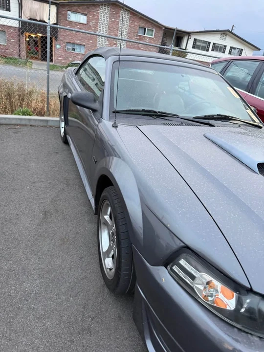 2003 Ford SN95 Mustang - Image 3 of 5