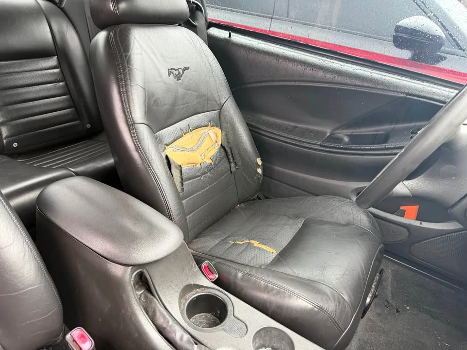 2003 Ford SN95 Mustang - Image 8 of 8