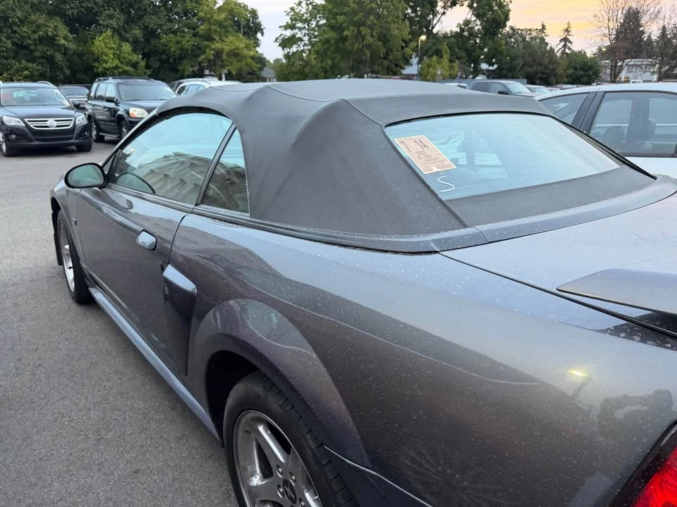2003 Ford SN95 Mustang - Image 4 of 5