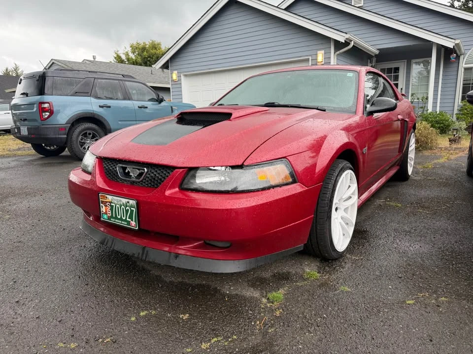 2003 Ford SN95 Mustang - Image 2 of 8
