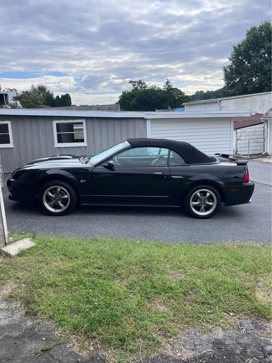 2003 Ford SN95 Mustang - Image 3 of 13