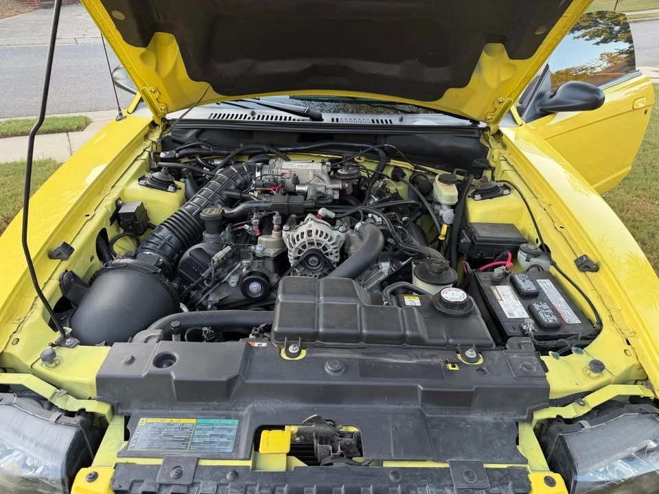 2003 Ford SN95 Mustang - Image 7 of 8