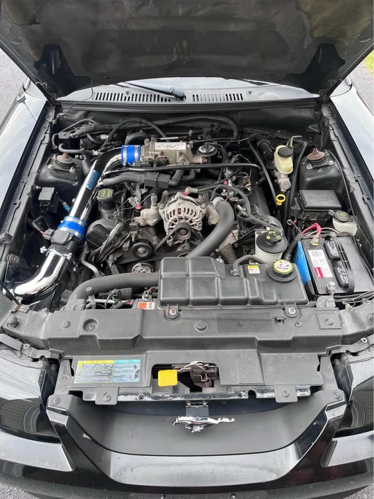 2003 Ford SN95 Mustang - Image 10 of 13