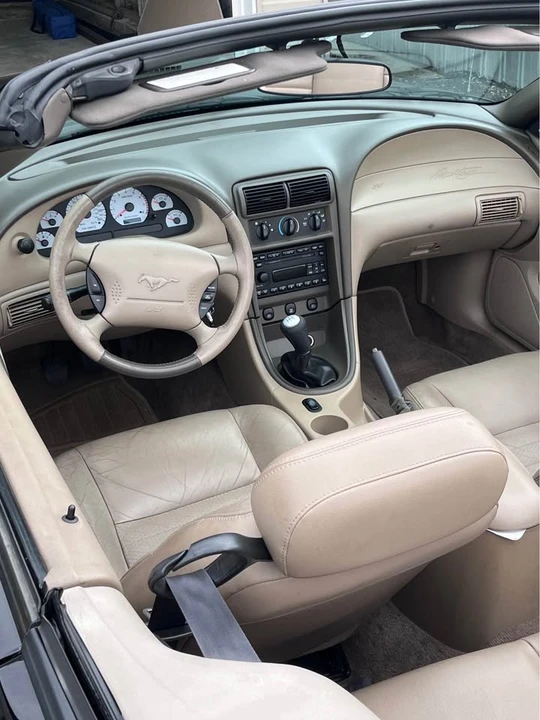 2003 Ford SN95 Mustang - Image 8 of 13