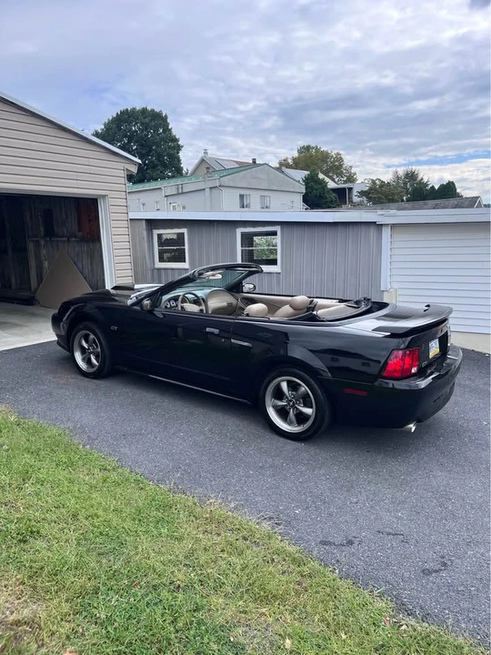 2003 Ford SN95 Mustang - Image 6 of 13