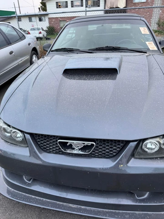 2003 Ford SN95 Mustang - Image 2 of 5