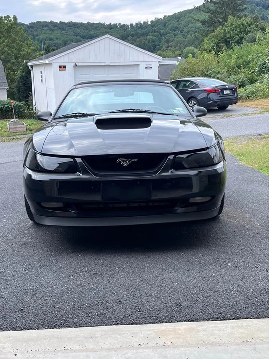 2003 Ford SN95 Mustang - Image 2 of 13