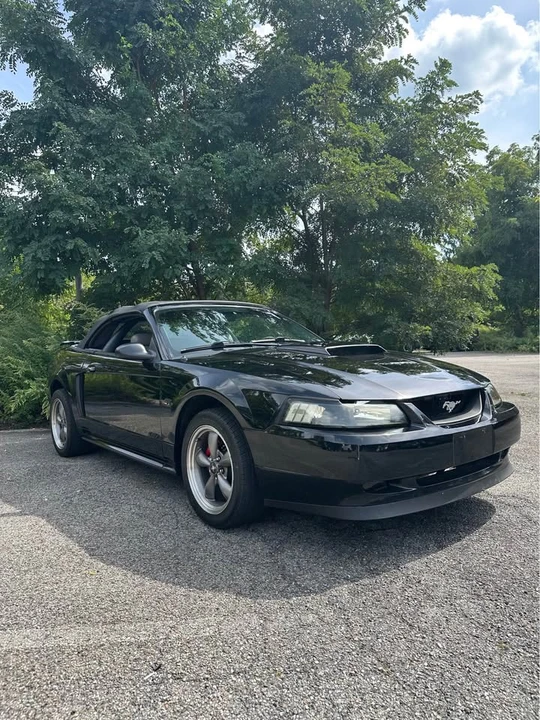 2003 Ford SN95 Mustang - Image 2 of 9