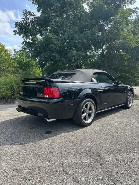2003 Ford SN95 Mustang - Image 4 of 9