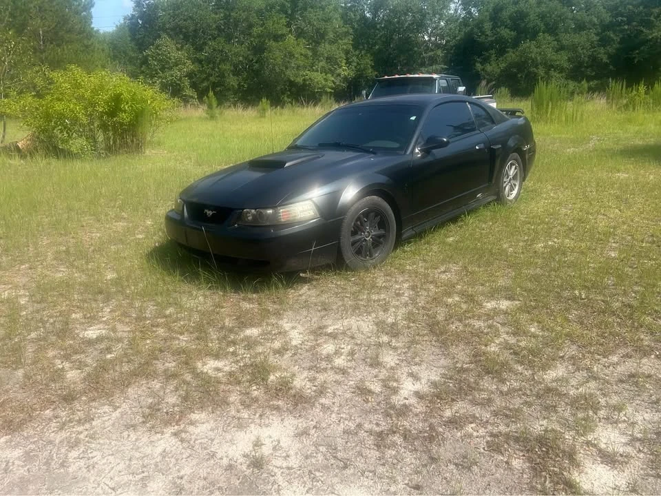 2003 Ford SN95 Mustang - Image 11 of 12