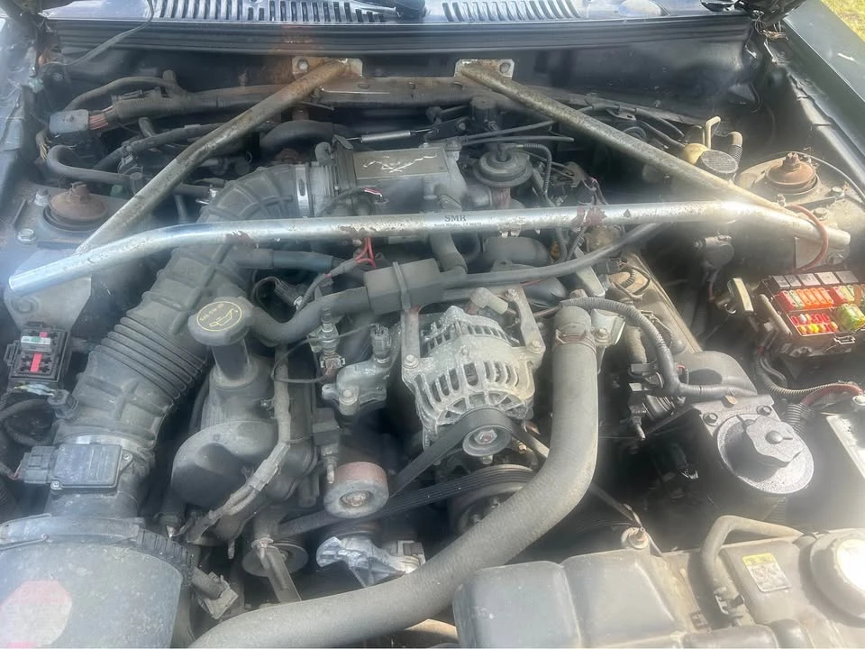 2003 Ford SN95 Mustang - Image 3 of 12