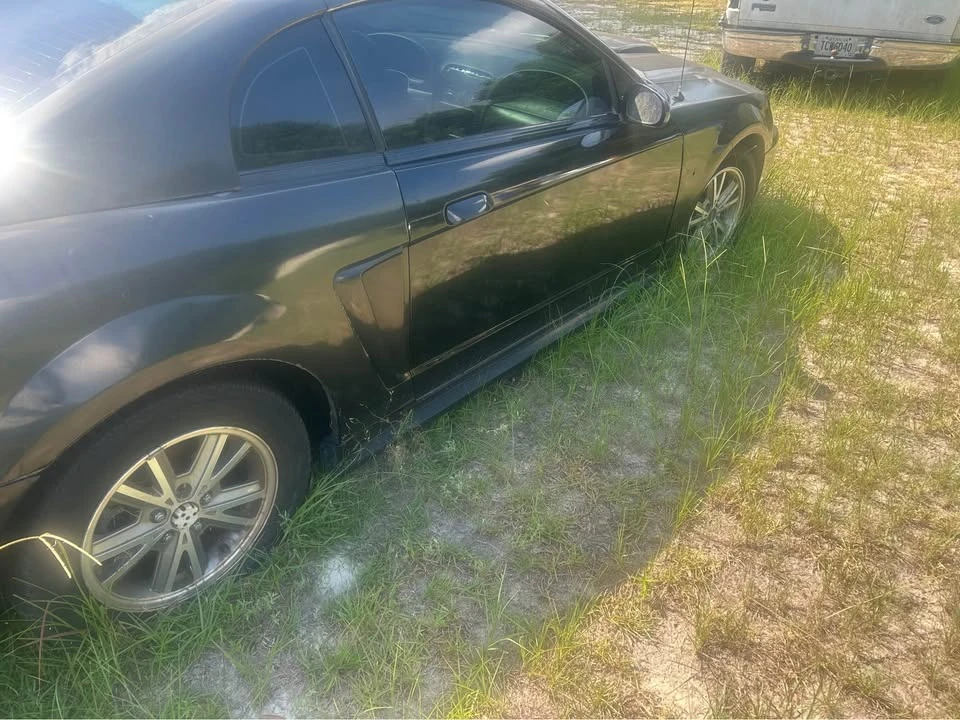 2003 Ford SN95 Mustang - Image 2 of 12